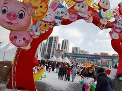 -沈阳奥体冰雪嘉年华
