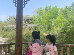 -武清南湖绿博园