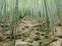 -莫干山风景区