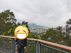 -金鸡山公园