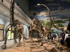 -自贡恐龙博物馆