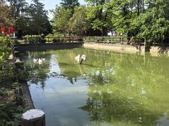 -盛世牡丹苑生态文化旅游区