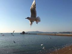 -老味道民宿(栈桥店)