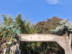 -王顺山国家森林公园