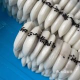 长沙神秘小吃：朝鲜月亮糕[加油]