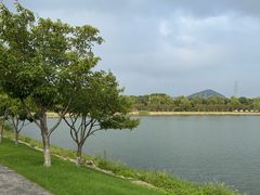 -羊山湖公园