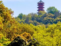 -惠山古镇·寄畅园