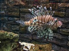 -北戴河圣蓝海洋公园