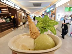 -极拉图·现制冰淇淋(大卫城店)