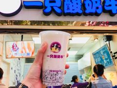 -一只酸奶牛(八一路店)