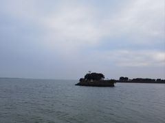 -大湾区中央湿地公园