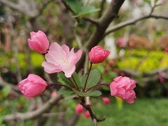 -杭州城北体育公园