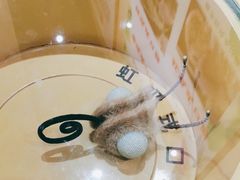 -上海昆虫博物馆