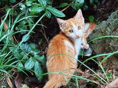 -敬亭山风景名胜区