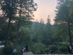 -杭州花家山庄