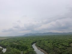 -呼伦贝尔大草原