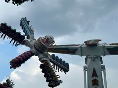 -金华体育中心游泳馆