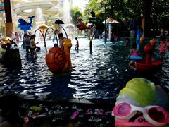 -亚马逊丛林水乐园