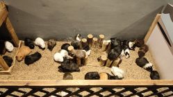 -酷嗒动物文化乐园(cutezoo西溪乐天城店)