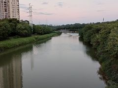 -广东花都湖国家湿地公园