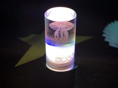 -MOSSO音乐酒吧·Live House(南京西路店)