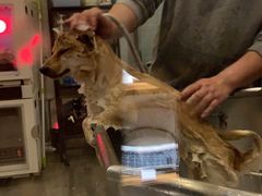 -PETKIT小佩宠物(古北店)