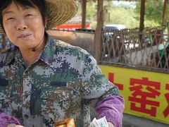 土窑鸡-满記土窑烧鷄波浪山莊