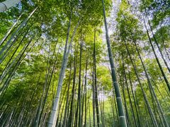 -陶祖圣境风景区