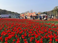 -无锡梅园公园