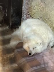 -酷嗒动物文化乐园(cutezoo西溪乐天城店)