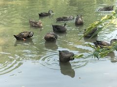 -西安浐灞国家湿地公园