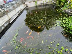 -洞背山庄(洞背院区式管理小区店)
