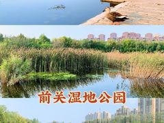 -前关湿地公园