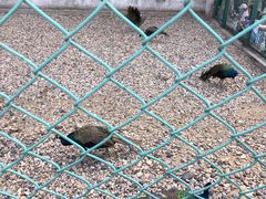 -南京金牛湖风景区