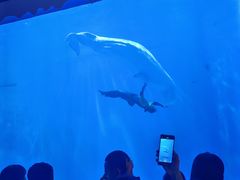 -多彩贵州城极地海洋世界