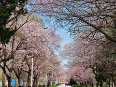 -吉林大学(南岭校区)