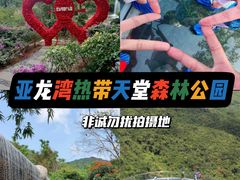 -亚龙湾热带天堂森林公园