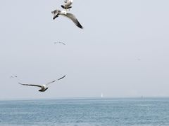 -大连海昌东方水城