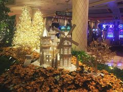 -拉斯维加斯永利酒店