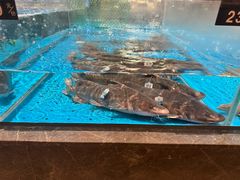 -艳阳天·非遗楚菜(武汉客厅店)