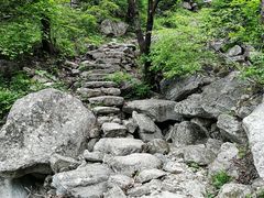 -王顺山国家森林公园