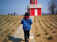 -羊亭河湿地公园