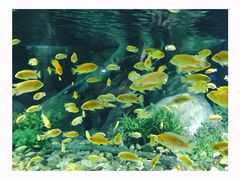 -福州罗源湾海洋世界旅游区