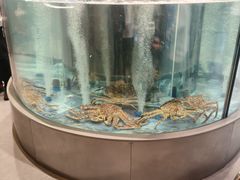 -海底捞大排档火锅(打浦路店)