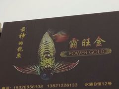 -中环花鸟鱼虫市场