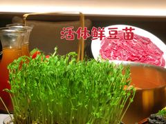 -罗勒家·养生火锅· Bistro(大望路店)
