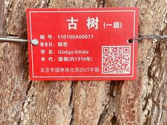 -潭柘寺景区