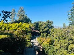 -汉庭顿图书馆