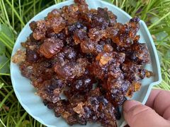 -老袁家蜜桃农场·阳山水蜜桃