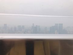 -339旋转餐厅(天府熊猫塔店)